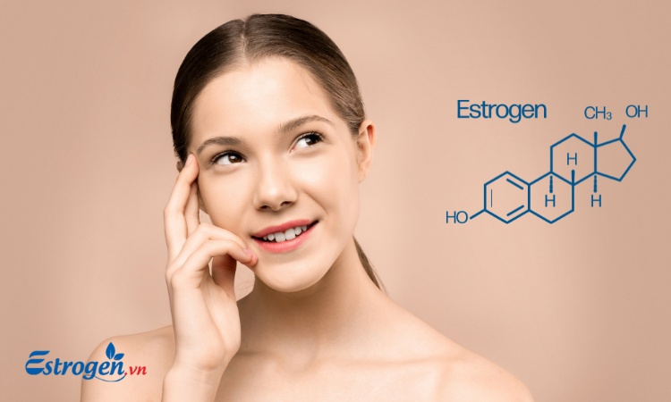 1. Nguyên tắc ăn uống để tăng cường estrogen 1