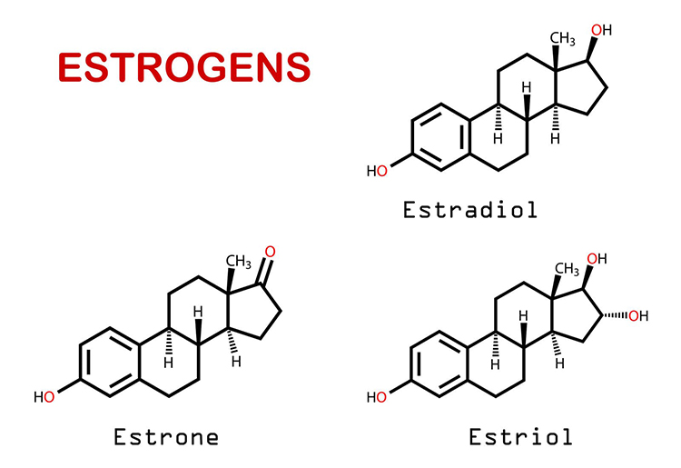 Estrogen là gì? Vai trò đối với nam giới 1