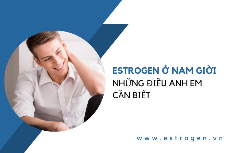 Estrogen ở nam giới - Những điều anh em cần biết 1