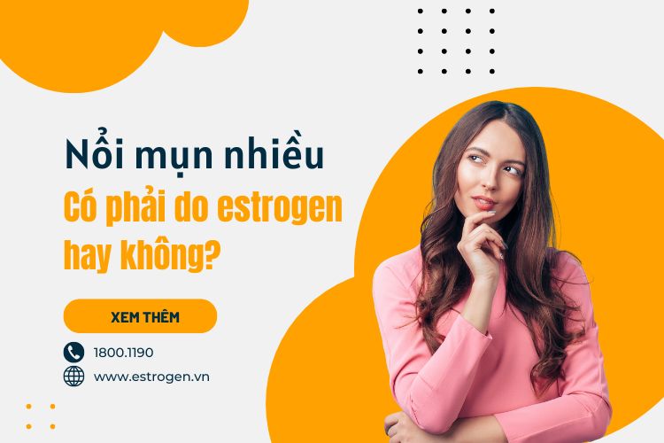 Nổi mụn nhiều có phải do estrogen hay không? 1