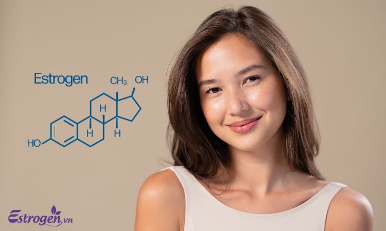 Tác hại thiếu hụt estrogen đối với tâm sinh lý 1