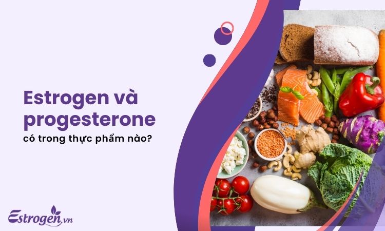 Estrogen và progesterone có ở thực phẩm nào?