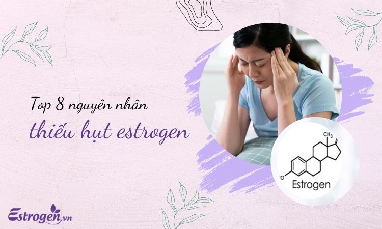 Top 8 nguyên nhân gây thiếu hụt estrogen 1