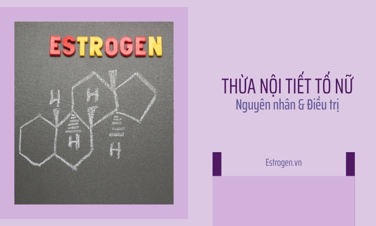 Thừa nội tiết tố nữ: Nguyên nhân và cách cải thiện 1