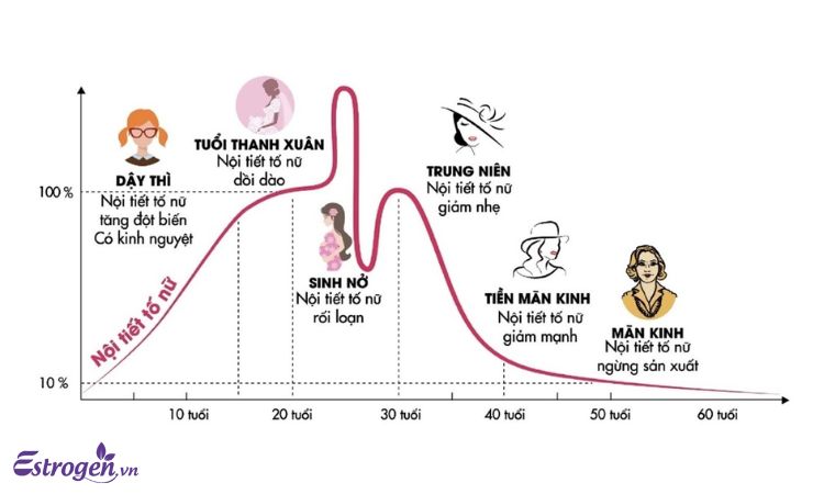 Thay đổi nội tiết tố 1