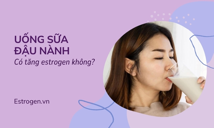Uống sữa đậu nành có tăng nội tiết tố estrogen không?