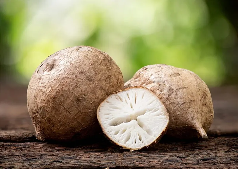 Thành phần trong củ sâm tố nữ 1